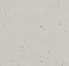 Линолеум Forbo Sphera Energetic 50211 stone фото 1 | FLOORDEALER